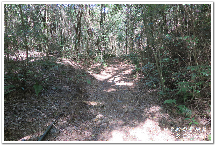 白姑大山3天2夜行Day1登山口至松針營地篇 白姑大山3天2夜行Day1登山口至松針營地篇
