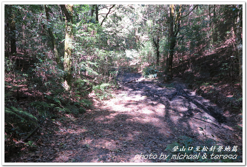 白姑大山3天2夜行Day1登山口至松針營地篇 白姑大山3天2夜行Day1登山口至松針營地篇
