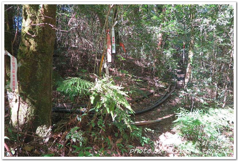 白姑大山3天2夜行Day1登山口至松針營地篇 白姑大山3天2夜行Day1登山口至松針營地篇