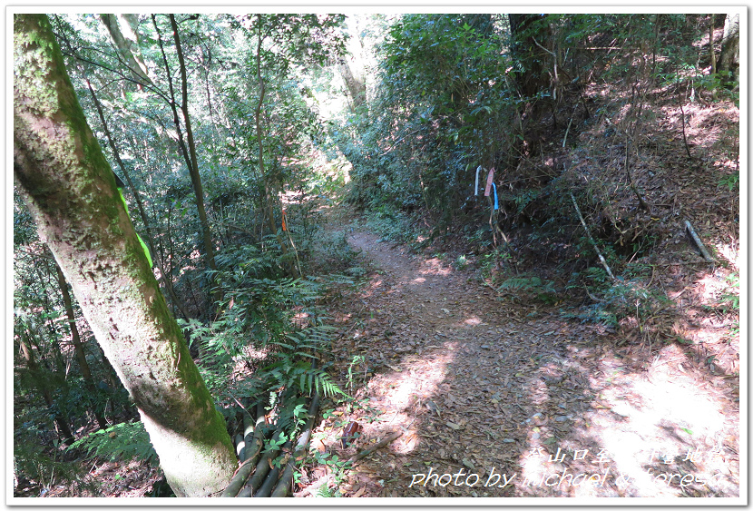 白姑大山3天2夜行Day1登山口至松針營地篇 白姑大山3天2夜行Day1登山口至松針營地篇