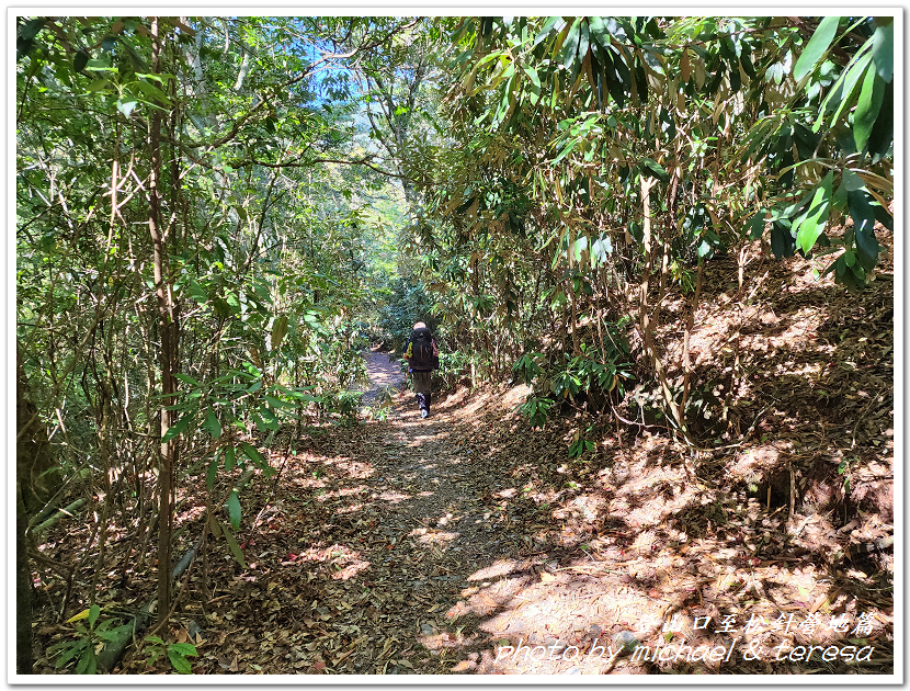 白姑大山3天2夜行Day1登山口至松針營地篇 白姑大山3天2夜行Day1登山口至松針營地篇
