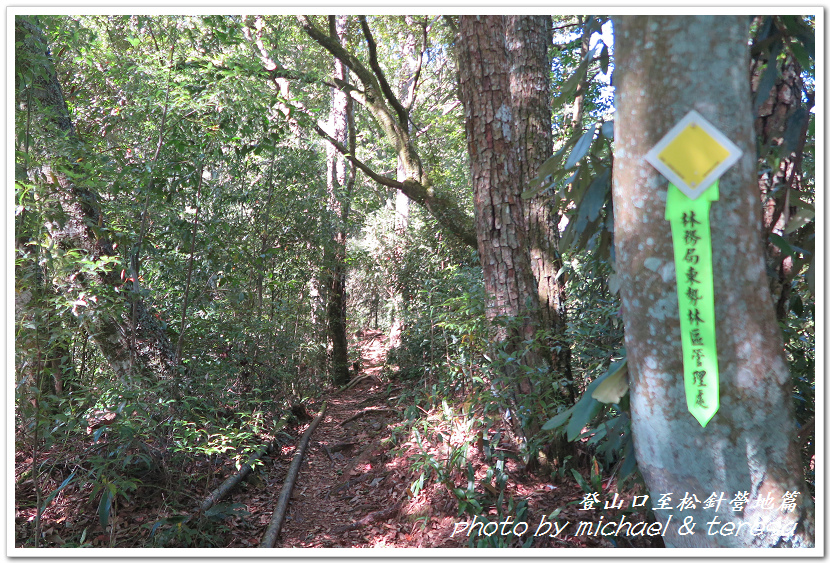 白姑大山3天2夜行Day1登山口至松針營地篇 白姑大山3天2夜行Day1登山口至松針營地篇