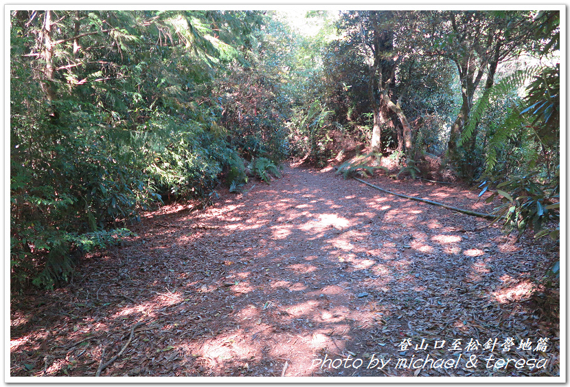 白姑大山3天2夜行Day1登山口至松針營地篇 白姑大山3天2夜行Day1登山口至松針營地篇