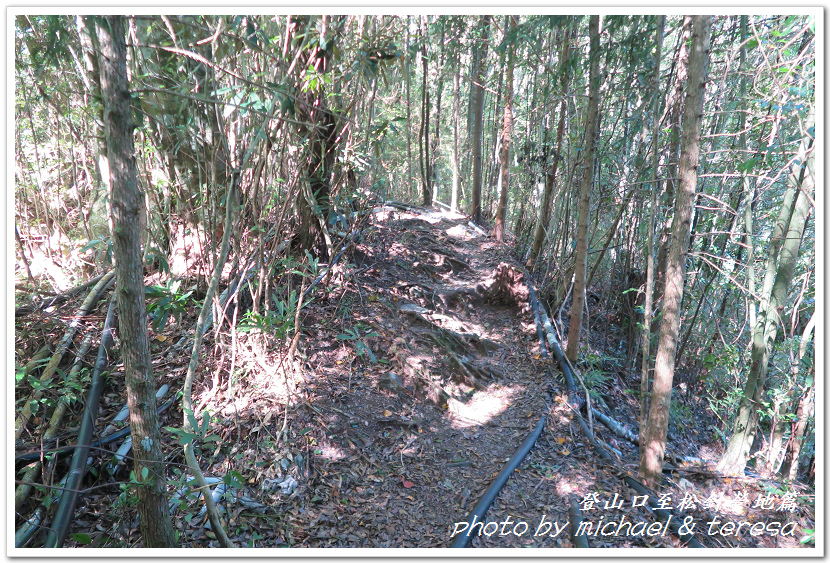 白姑大山3天2夜行Day1登山口至松針營地篇 白姑大山3天2夜行Day1登山口至松針營地篇
