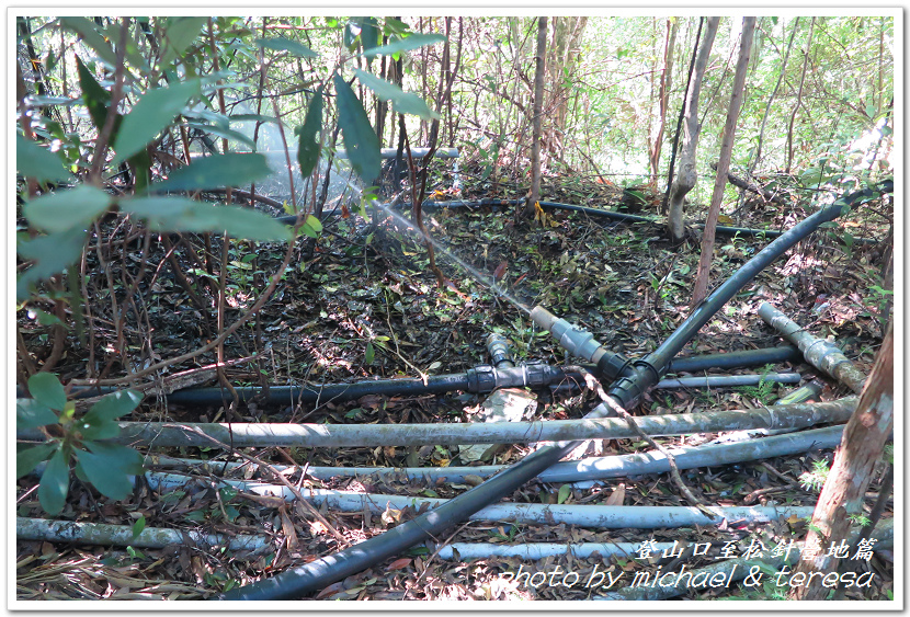 白姑大山3天2夜行Day1登山口至松針營地篇 白姑大山3天2夜行Day1登山口至松針營地篇