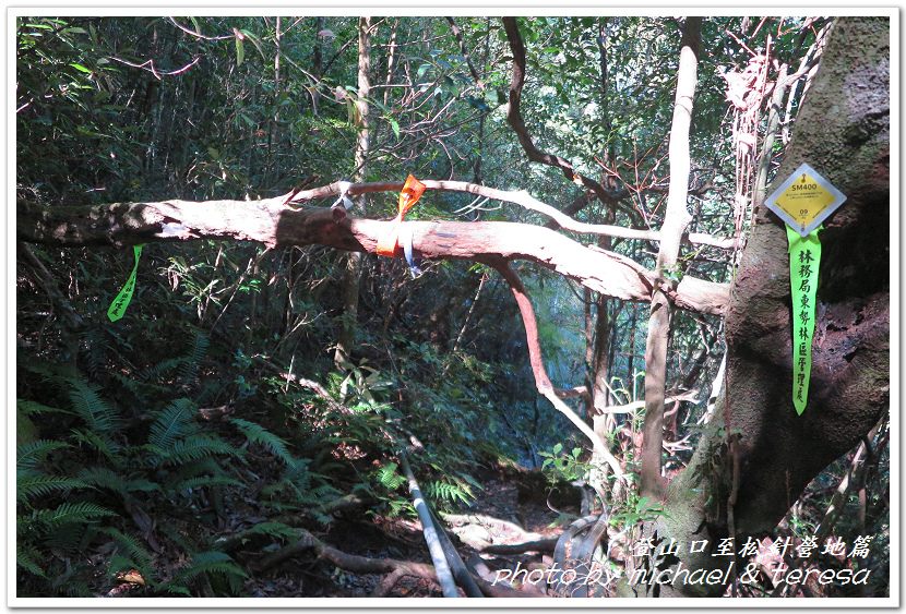 白姑大山3天2夜行Day1登山口至松針營地篇 白姑大山3天2夜行Day1登山口至松針營地篇