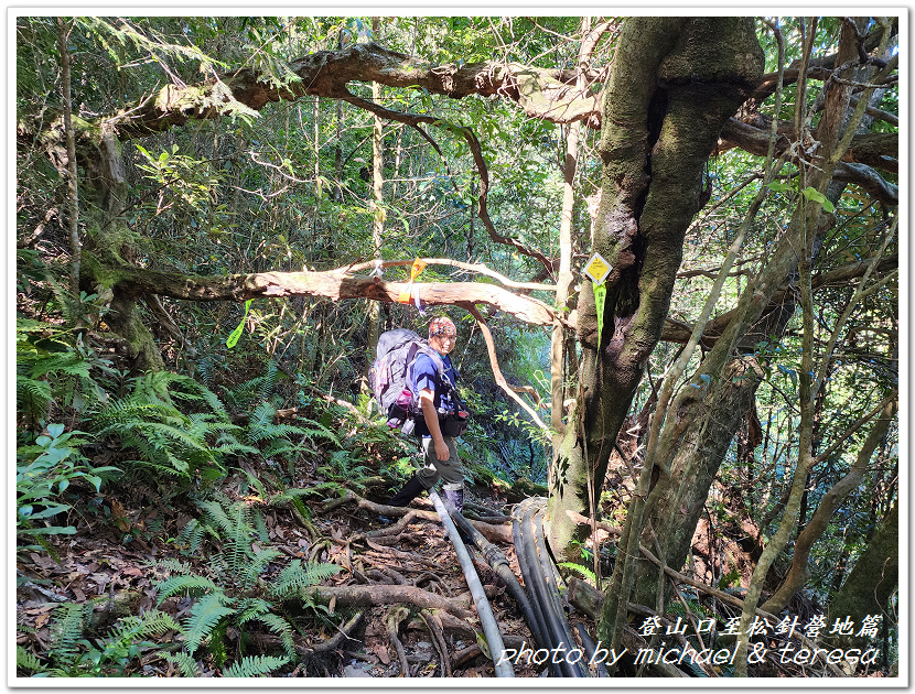 白姑大山3天2夜行Day1登山口至松針營地篇 白姑大山3天2夜行Day1登山口至松針營地篇