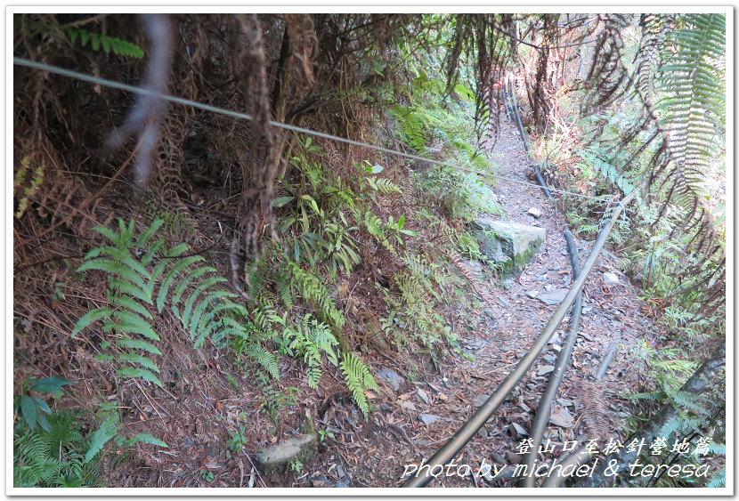 白姑大山3天2夜行Day1登山口至松針營地篇 白姑大山3天2夜行Day1登山口至松針營地篇