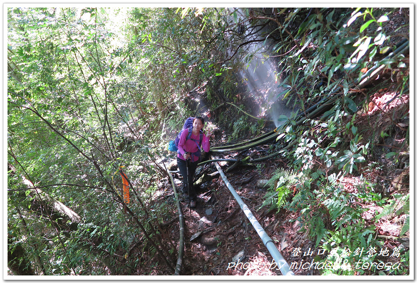 白姑大山3天2夜行Day1登山口至松針營地篇 白姑大山3天2夜行Day1登山口至松針營地篇
