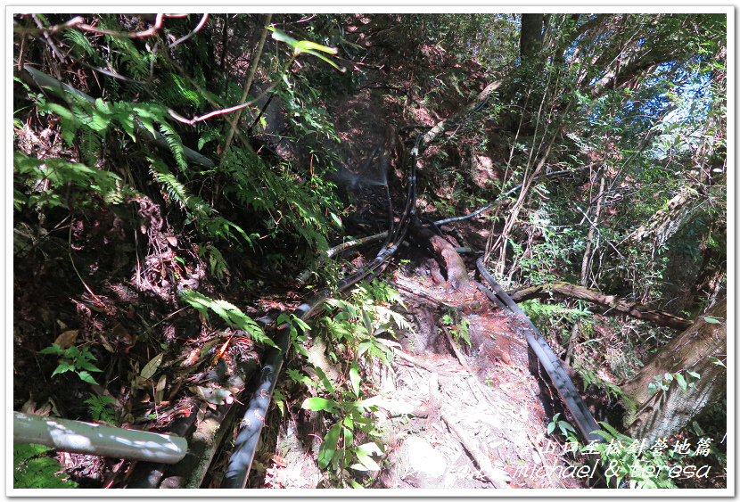 白姑大山3天2夜行Day1登山口至松針營地篇 白姑大山3天2夜行Day1登山口至松針營地篇
