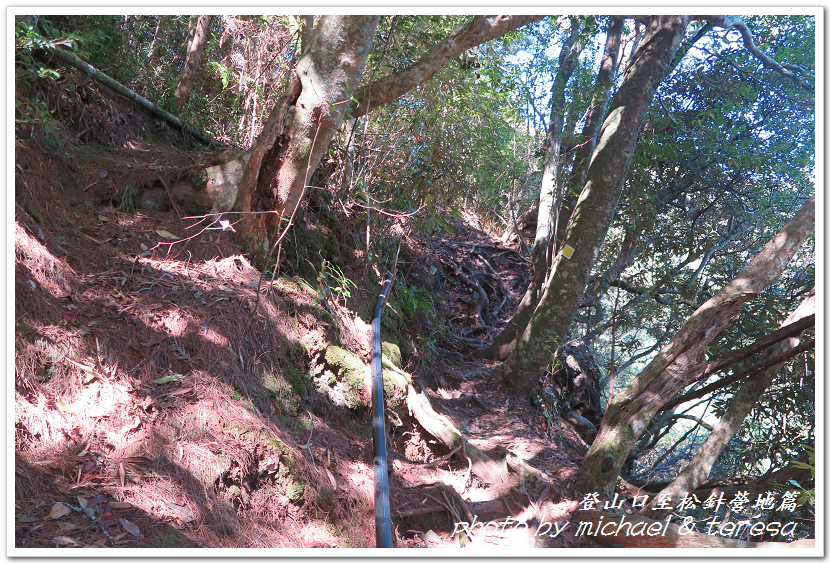 白姑大山3天2夜行Day1登山口至松針營地篇 白姑大山3天2夜行Day1登山口至松針營地篇