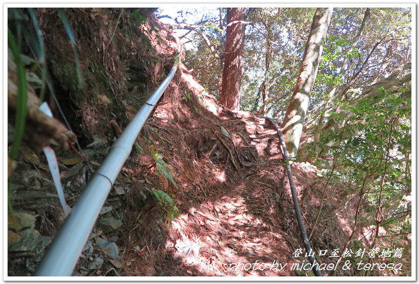 白姑大山3天2夜行Day1登山口至松針營地篇 白姑大山3天2夜行Day1登山口至松針營地篇