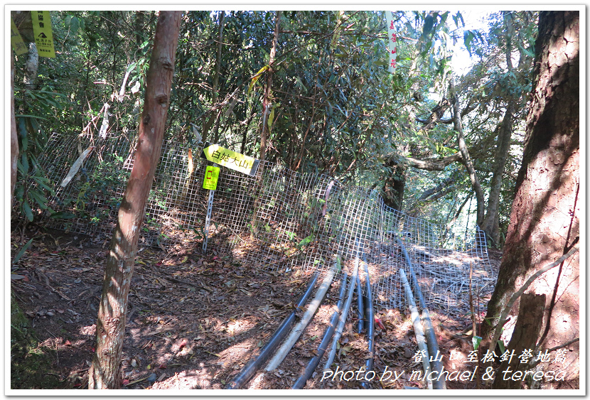 白姑大山3天2夜行Day1登山口至松針營地篇 白姑大山3天2夜行Day1登山口至松針營地篇