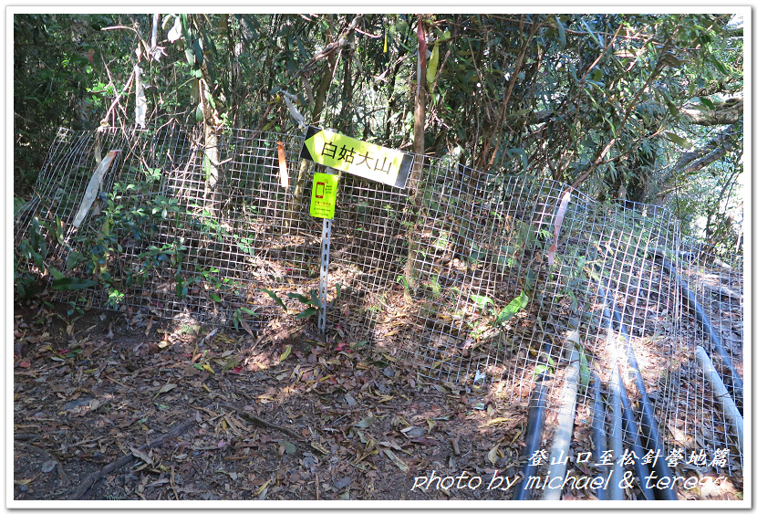 白姑大山3天2夜行Day1登山口至松針營地篇 白姑大山3天2夜行Day1登山口至松針營地篇