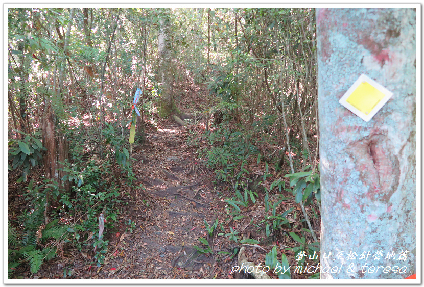 白姑大山3天2夜行Day1登山口至松針營地篇 白姑大山3天2夜行Day1登山口至松針營地篇