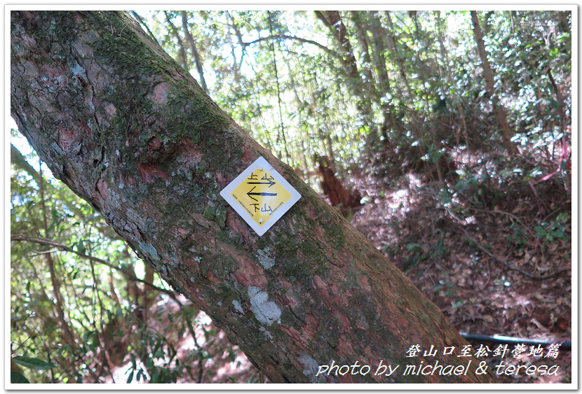 白姑大山3天2夜行Day1登山口至松針營地篇 白姑大山3天2夜行Day1登山口至松針營地篇