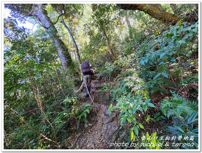 白姑大山3天2夜行Day1登山口至松針營地篇 白姑大山3天2夜行Day1登山口至松針營地篇