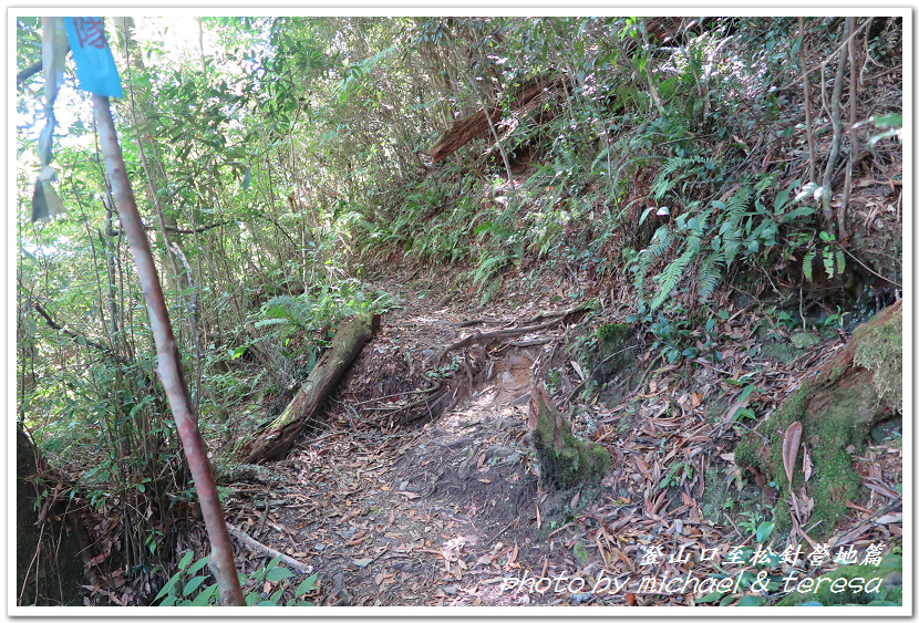 白姑大山3天2夜行Day1登山口至松針營地篇 白姑大山3天2夜行Day1登山口至松針營地篇