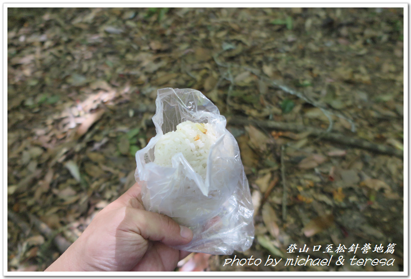 白姑大山3天2夜行Day1登山口至松針營地篇 白姑大山3天2夜行Day1登山口至松針營地篇