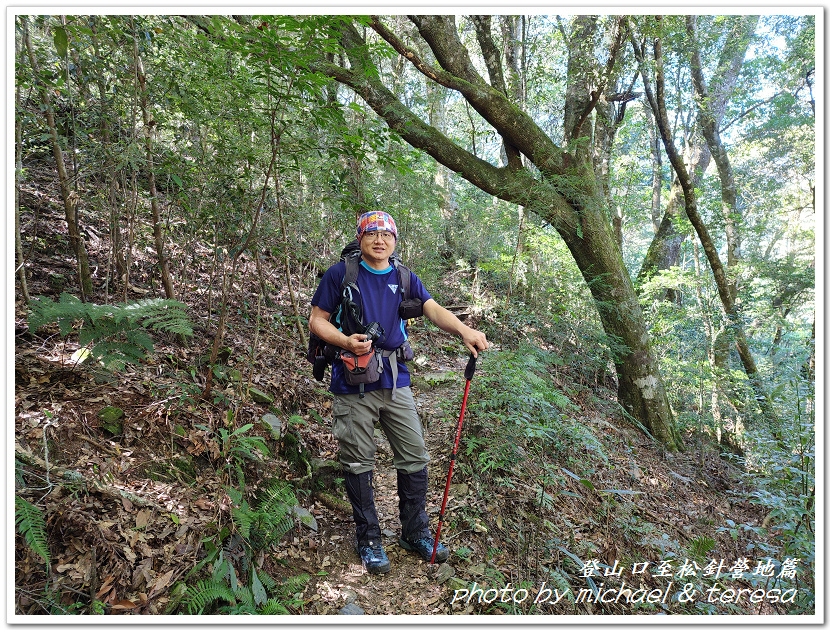 白姑大山3天2夜行Day1登山口至松針營地篇 白姑大山3天2夜行Day1登山口至松針營地篇