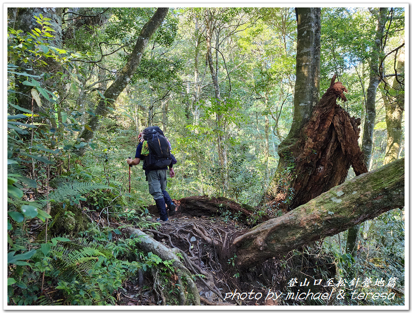 白姑大山3天2夜行Day1登山口至松針營地篇 白姑大山3天2夜行Day1登山口至松針營地篇