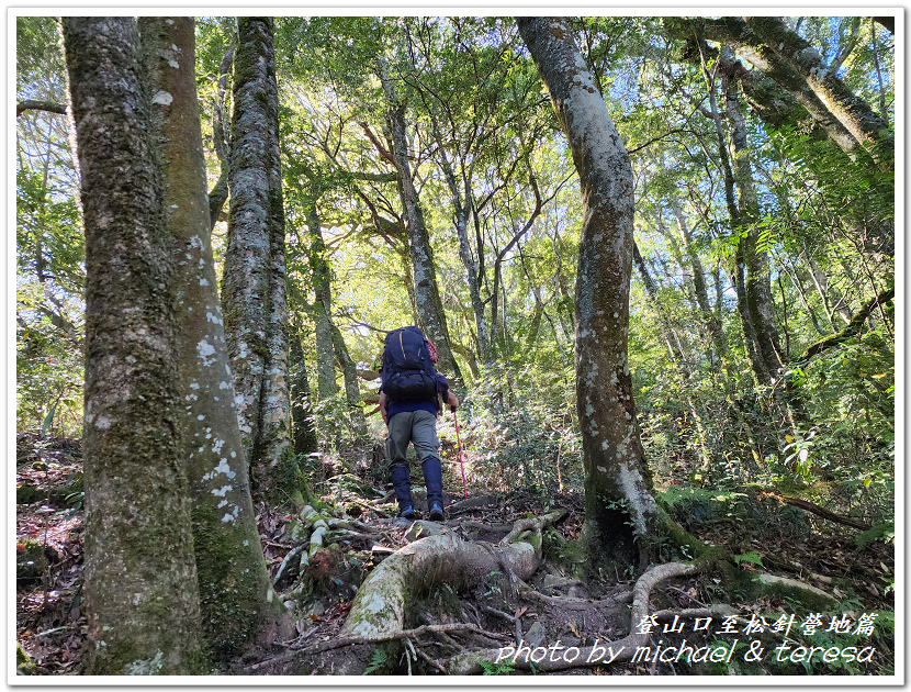 白姑大山3天2夜行Day1登山口至松針營地篇 白姑大山3天2夜行Day1登山口至松針營地篇