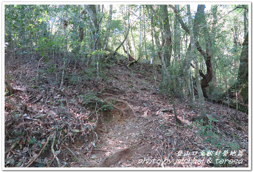 白姑大山3天2夜行Day1登山口至松針營地篇 白姑大山3天2夜行Day1登山口至松針營地篇