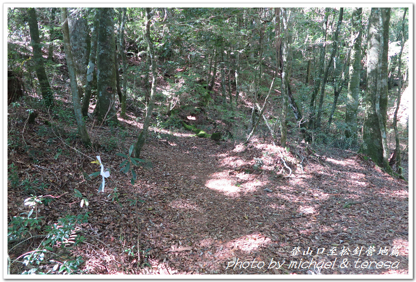 白姑大山3天2夜行Day1登山口至松針營地篇 白姑大山3天2夜行Day1登山口至松針營地篇