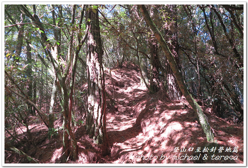 白姑大山3天2夜行Day1登山口至松針營地篇 白姑大山3天2夜行Day1登山口至松針營地篇
