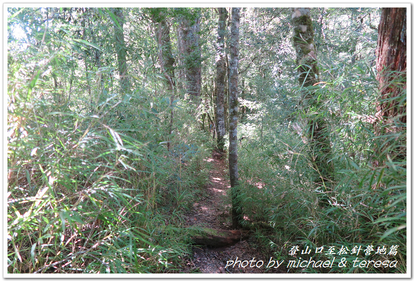 白姑大山3天2夜行Day1登山口至松針營地篇 白姑大山3天2夜行Day1登山口至松針營地篇