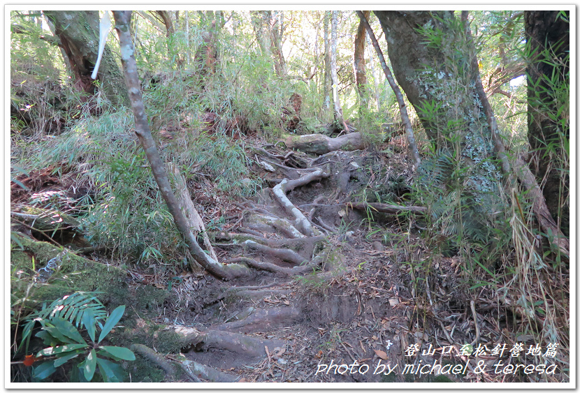 白姑大山3天2夜行Day1登山口至松針營地篇 白姑大山3天2夜行Day1登山口至松針營地篇