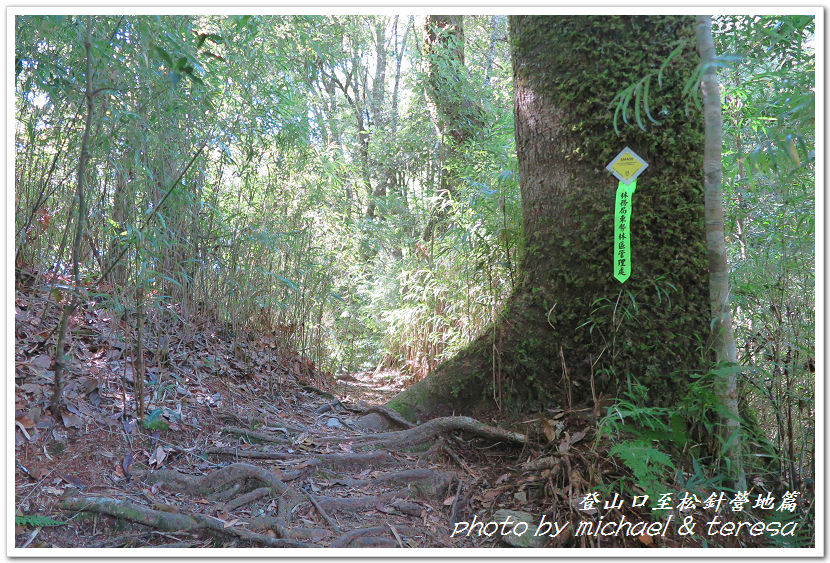 白姑大山3天2夜行Day1登山口至松針營地篇 白姑大山3天2夜行Day1登山口至松針營地篇