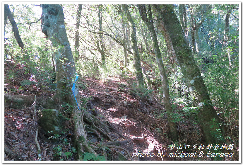 白姑大山3天2夜行Day1登山口至松針營地篇 白姑大山3天2夜行Day1登山口至松針營地篇