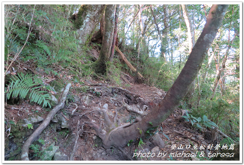 白姑大山3天2夜行Day1登山口至松針營地篇 白姑大山3天2夜行Day1登山口至松針營地篇