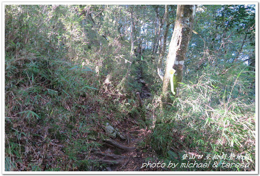 白姑大山3天2夜行Day1登山口至松針營地篇 白姑大山3天2夜行Day1登山口至松針營地篇