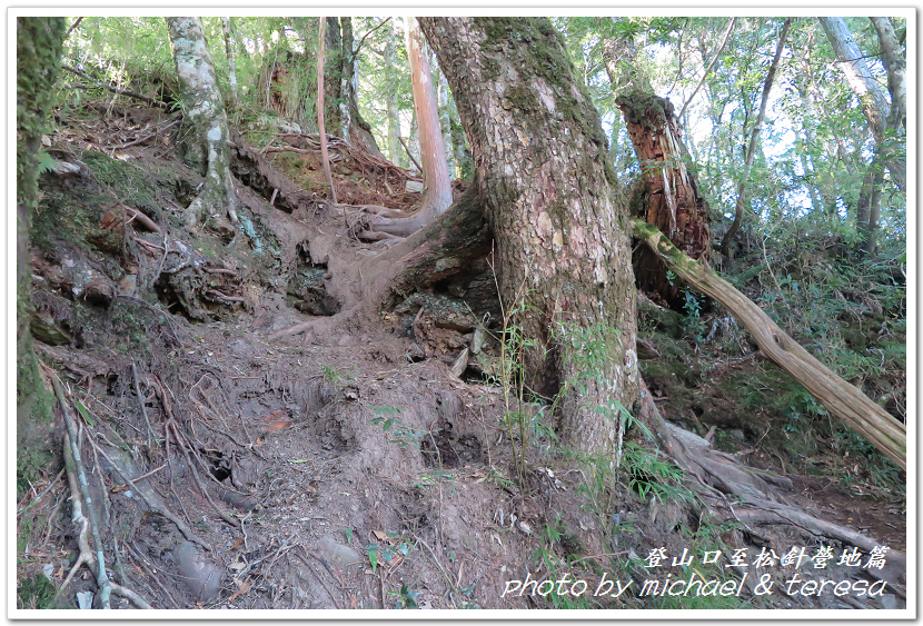 白姑大山3天2夜行Day1登山口至松針營地篇 白姑大山3天2夜行Day1登山口至松針營地篇