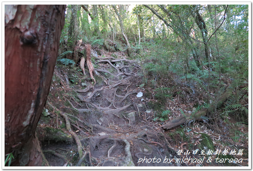 白姑大山3天2夜行Day1登山口至松針營地篇 白姑大山3天2夜行Day1登山口至松針營地篇