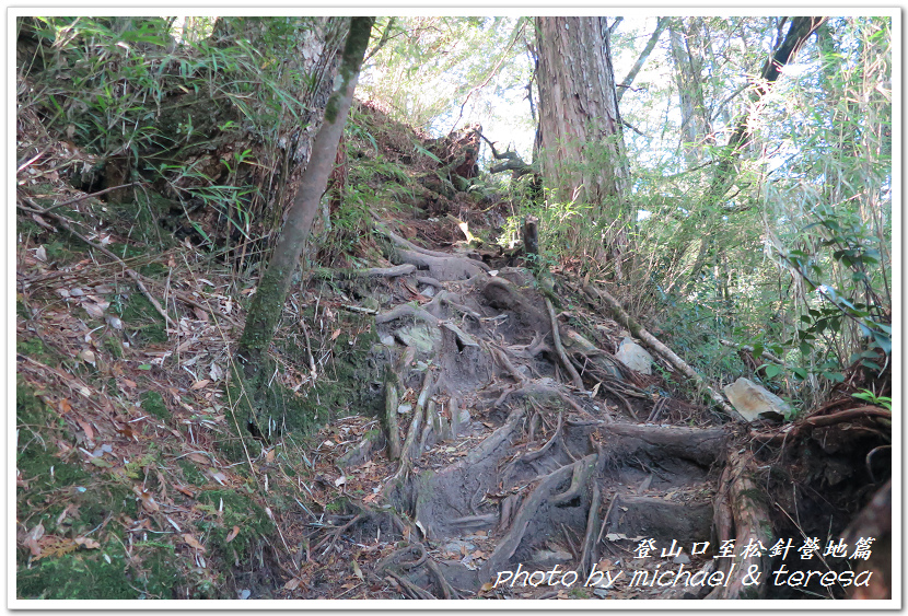 白姑大山3天2夜行Day1登山口至松針營地篇 白姑大山3天2夜行Day1登山口至松針營地篇