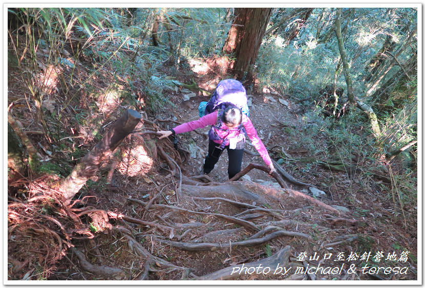 白姑大山3天2夜行Day1登山口至松針營地篇 白姑大山3天2夜行Day1登山口至松針營地篇