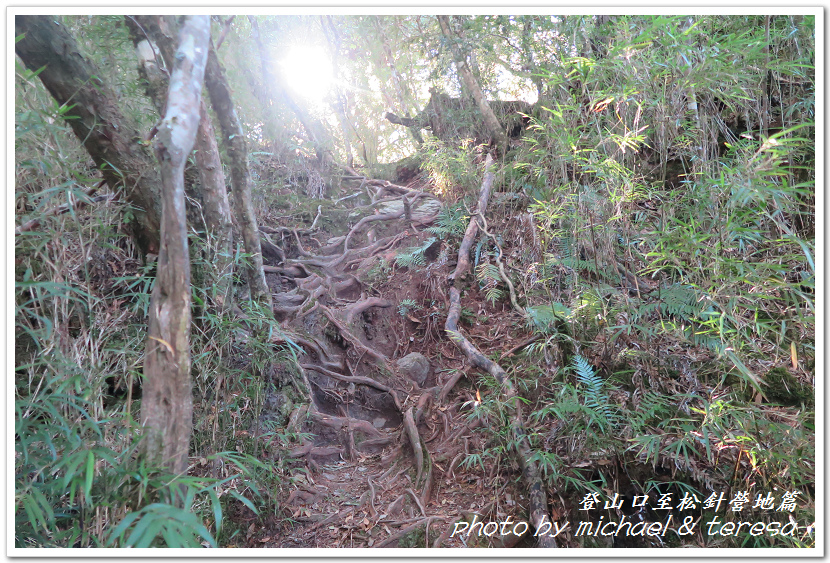 白姑大山3天2夜行Day1登山口至松針營地篇 白姑大山3天2夜行Day1登山口至松針營地篇