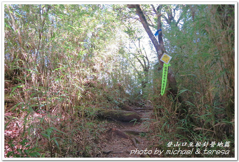 白姑大山3天2夜行Day1登山口至松針營地篇 白姑大山3天2夜行Day1登山口至松針營地篇