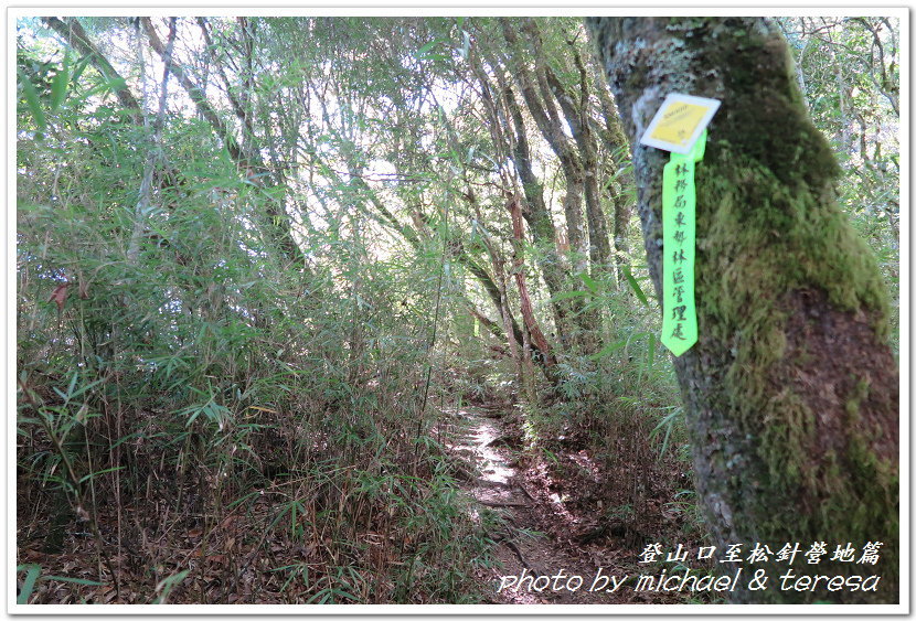 白姑大山3天2夜行Day1登山口至松針營地篇 白姑大山3天2夜行Day1登山口至松針營地篇