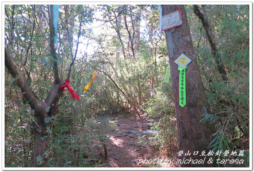 白姑大山3天2夜行Day1登山口至松針營地篇 白姑大山3天2夜行Day1登山口至松針營地篇