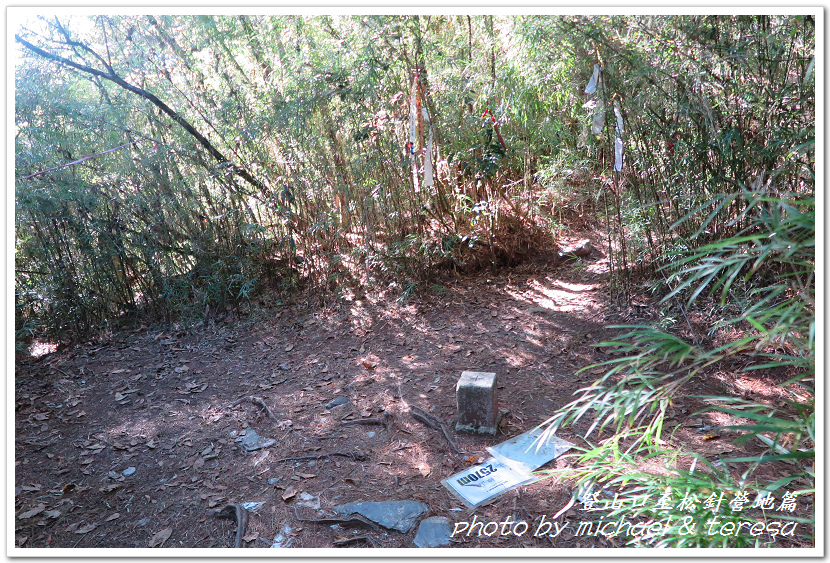 白姑大山3天2夜行Day1登山口至松針營地篇 白姑大山3天2夜行Day1登山口至松針營地篇