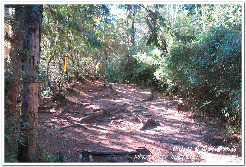白姑大山3天2夜行Day1登山口至松針營地篇 白姑大山3天2夜行Day1登山口至松針營地篇