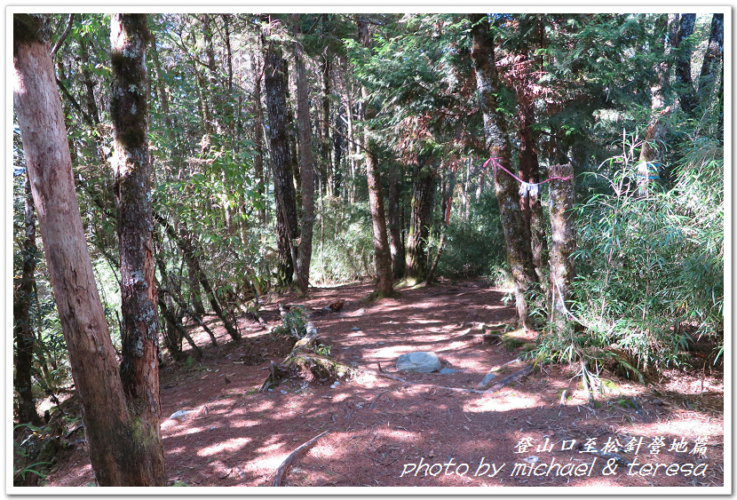 白姑大山3天2夜行Day1登山口至松針營地篇 白姑大山3天2夜行Day1登山口至松針營地篇