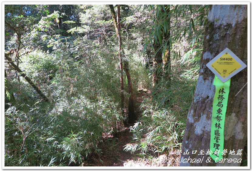 白姑大山3天2夜行Day1登山口至松針營地篇 白姑大山3天2夜行Day1登山口至松針營地篇
