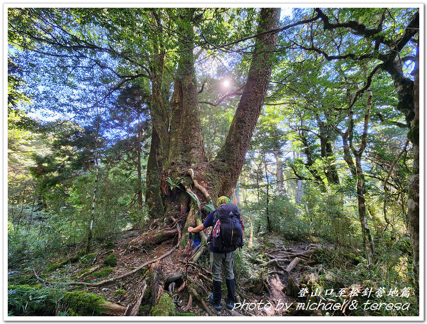 白姑大山3天2夜行Day1登山口至松針營地篇 白姑大山3天2夜行Day1登山口至松針營地篇