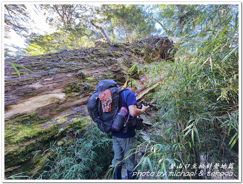 白姑大山3天2夜行Day1登山口至松針營地篇 白姑大山3天2夜行Day1登山口至松針營地篇