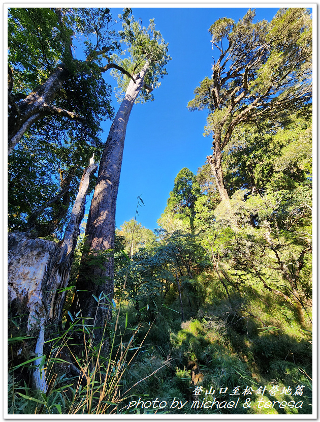 白姑大山3天2夜行Day1登山口至松針營地篇 白姑大山3天2夜行Day1登山口至松針營地篇